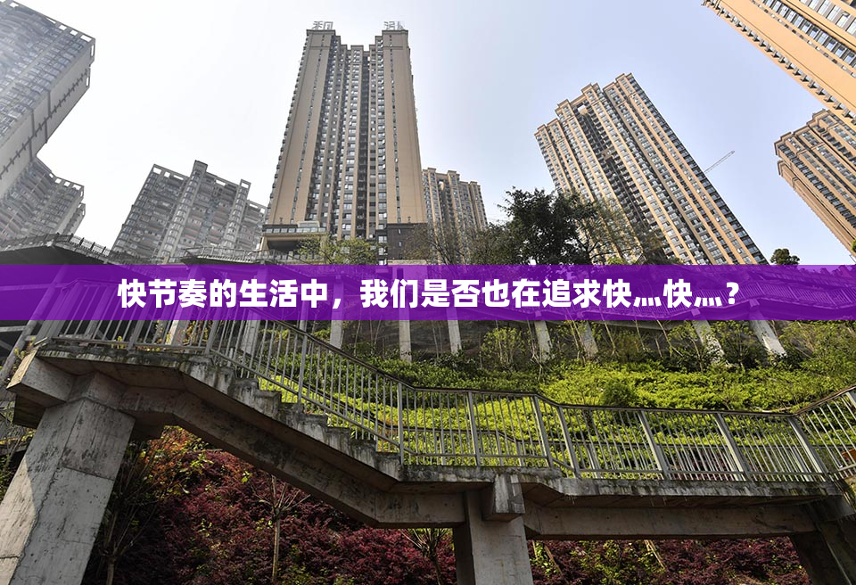 快节奏的生活中，我们是否也在追求快灬快灬？