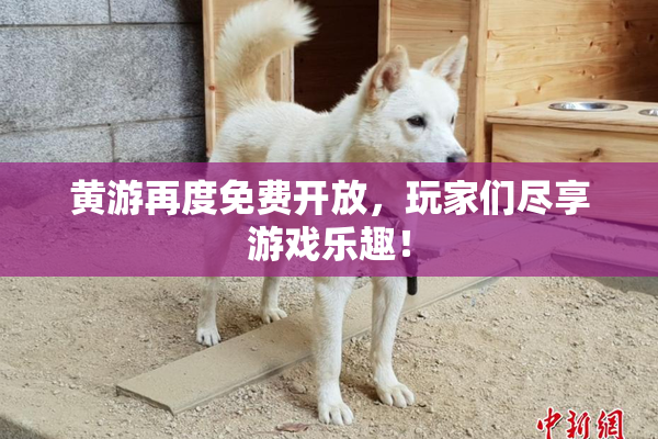 黄游再度免费开放，玩家们尽享游戏乐趣！