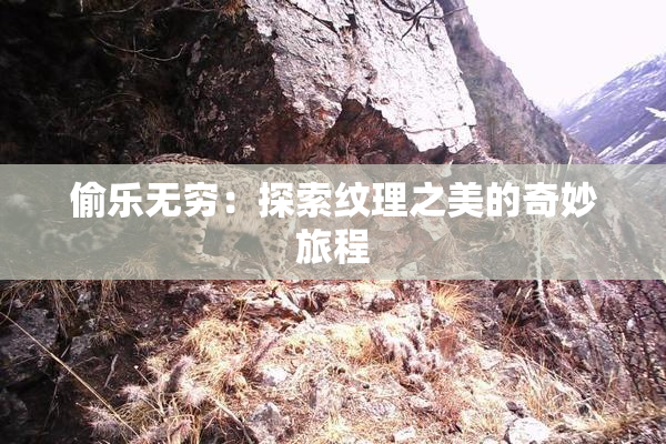 偷乐无穷：探索纹理之美的奇妙旅程