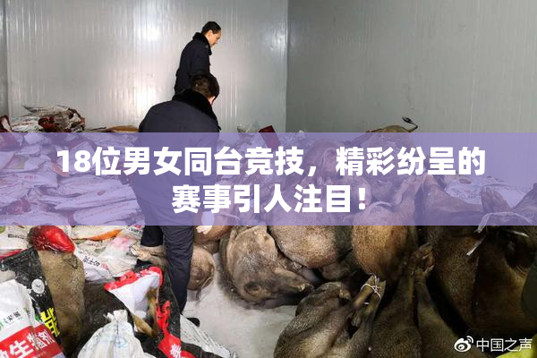 18位男女同台竞技，精彩纷呈的赛事引人注目！