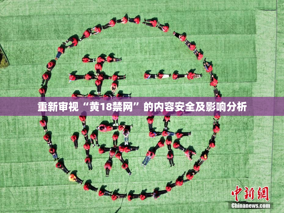 重新审视“黄18禁网”的内容安全及影响分析
