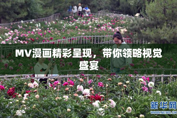 MV漫画精彩呈现，带你领略视觉盛宴
