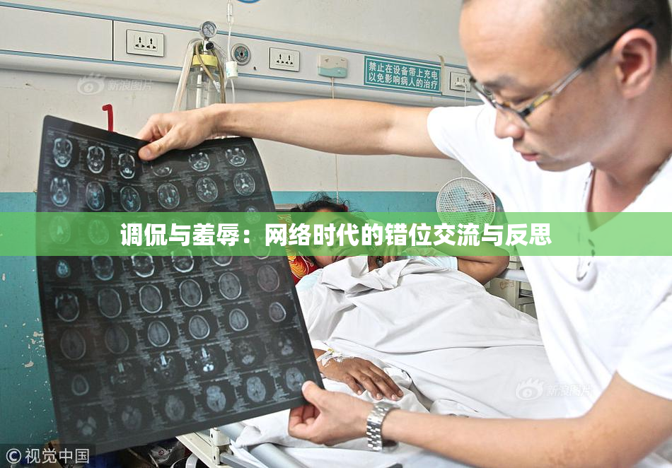 调侃与羞辱：网络时代的错位交流与反思