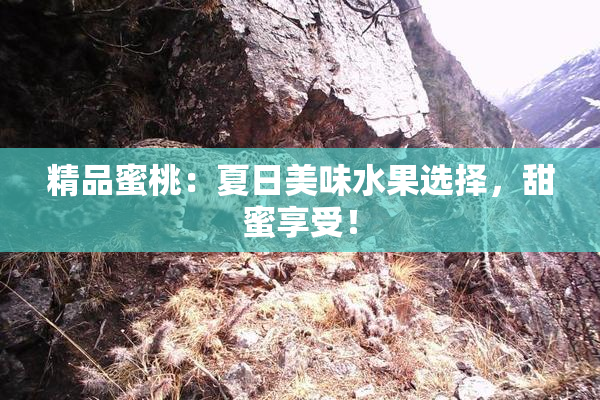 精品蜜桃：夏日美味水果选择，甜蜜享受！