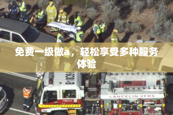免费一级做a，轻松享受多种服务体验