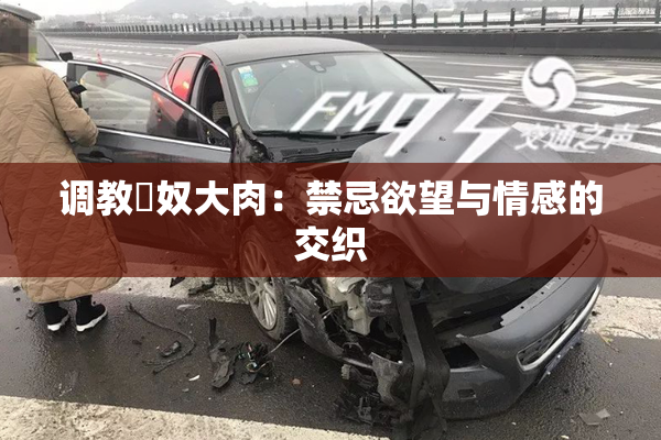 调教婬奴大肉：禁忌欲望与情感的交织