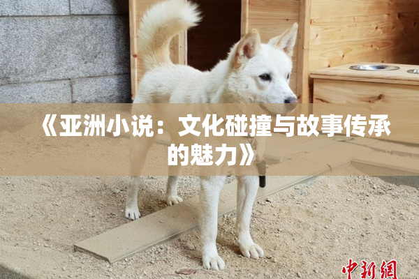 《亚洲小说：文化碰撞与故事传承的魅力》