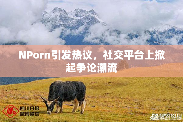 ΝPorn引发热议，社交平台上掀起争论潮流