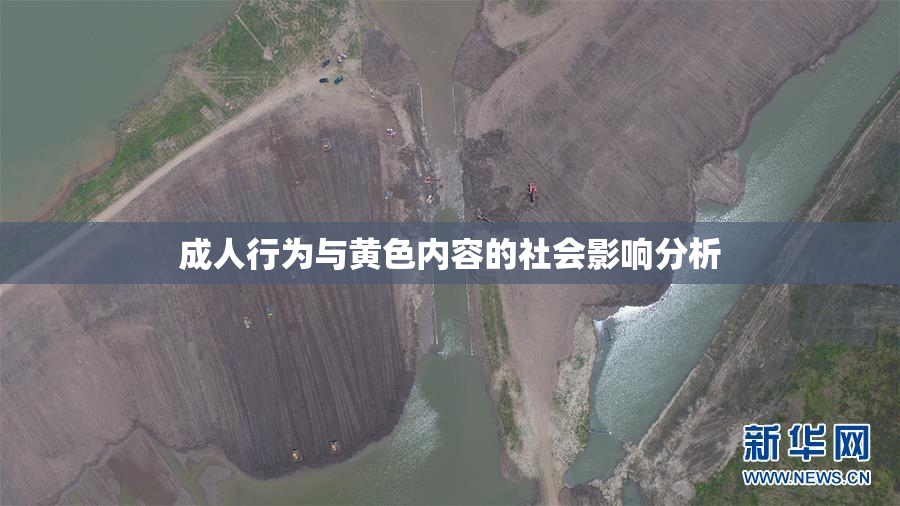 成人行为与黄色内容的社会影响分析