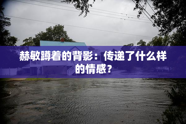 赫敏蹲着的背影：传递了什么样的情感？