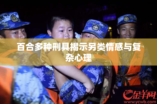 百合多种刑具揭示另类情感与复杂心理