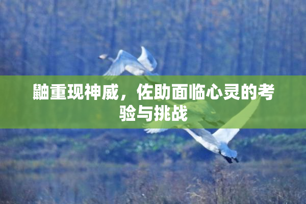 鼬重现神威，佐助面临心灵的考验与挑战