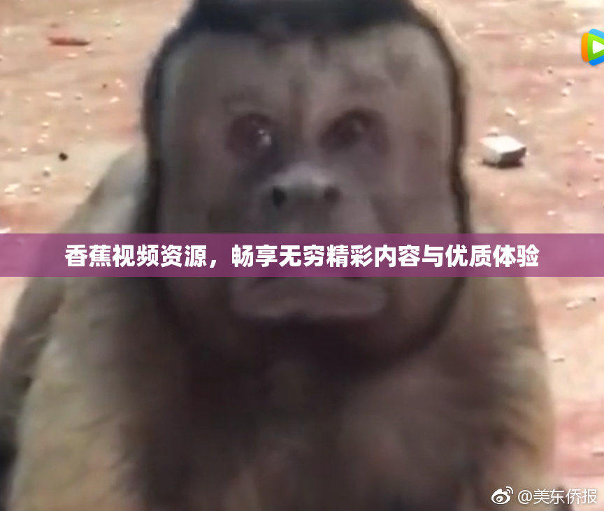 香蕉视频资源，畅享无穷精彩内容与优质体验