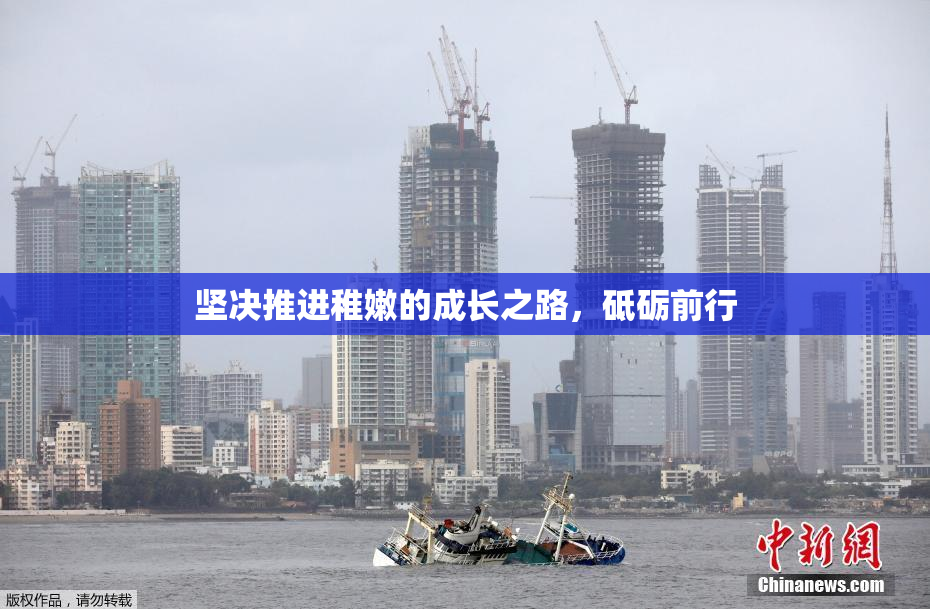 坚决推进稚嫩的成长之路，砥砺前行