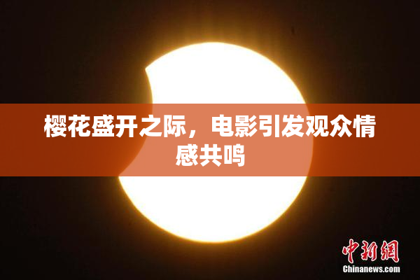 樱花盛开之际，电影引发观众情感共鸣