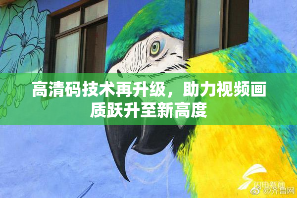 高清码技术再升级，助力视频画质跃升至新高度