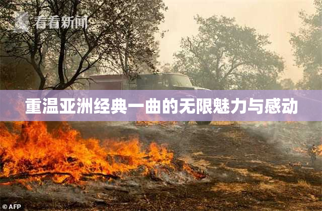 重温亚洲经典一曲的无限魅力与感动