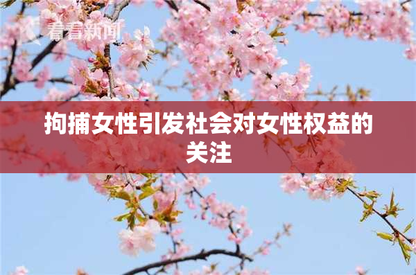 拘捕女性引发社会对女性权益的关注