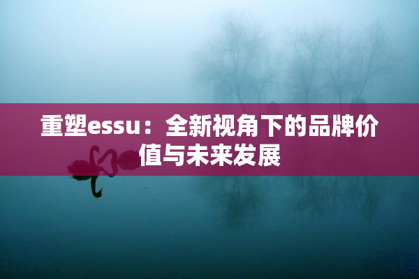 重塑essu：全新视角下的品牌价值与未来发展