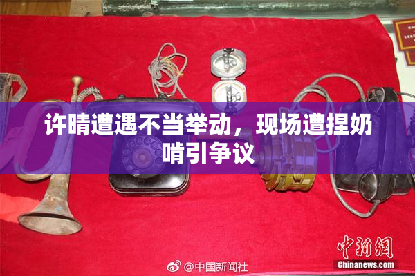 许晴遭遇不当举动，现场遭捏奶啃引争议