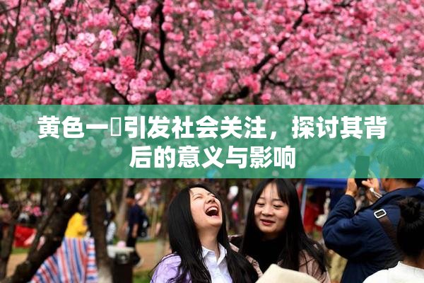 黄色一級引发社会关注，探讨其背后的意义与影响
