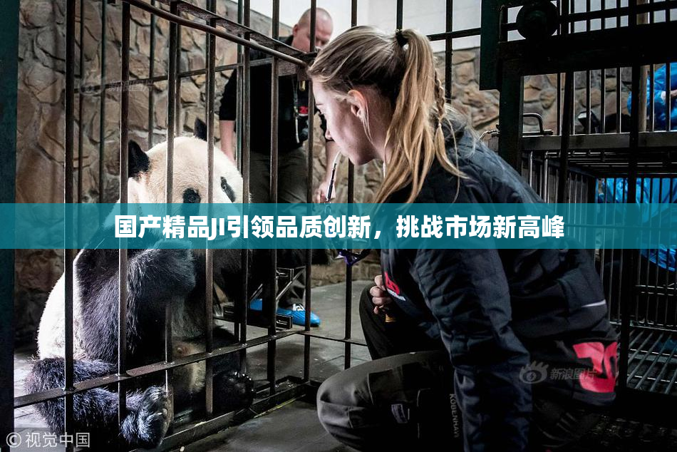 国产精品JI引领品质创新，挑战市场新高峰