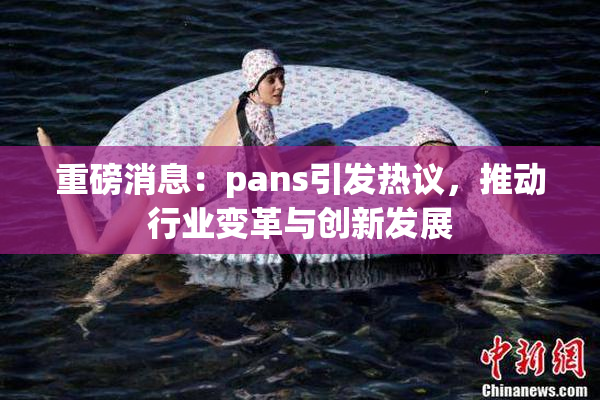 重磅消息：pans引发热议，推动行业变革与创新发展