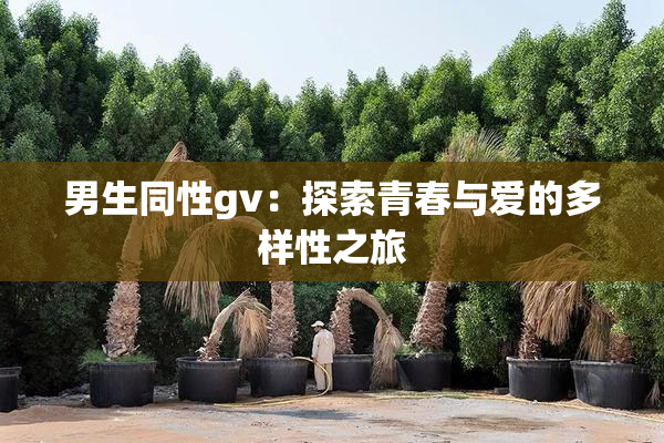 男生同性gv：探索青春与爱的多样性之旅