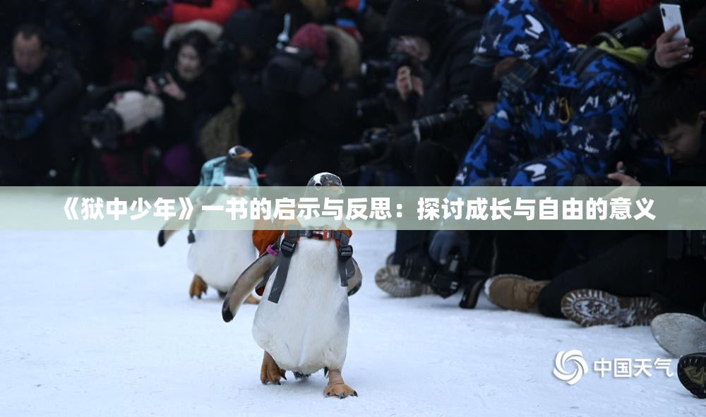 《狱中少年》一书的启示与反思：探讨成长与自由的意义