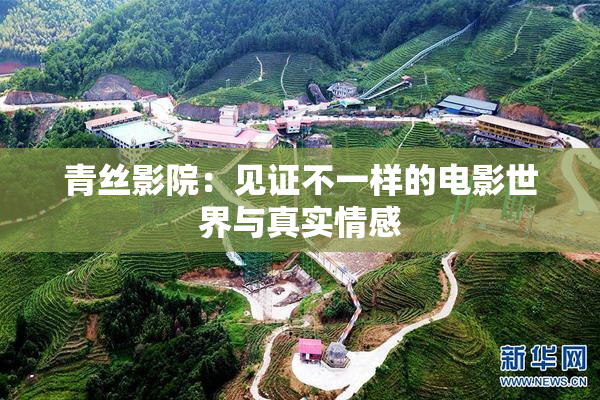 青丝影院：见证不一样的电影世界与真实情感