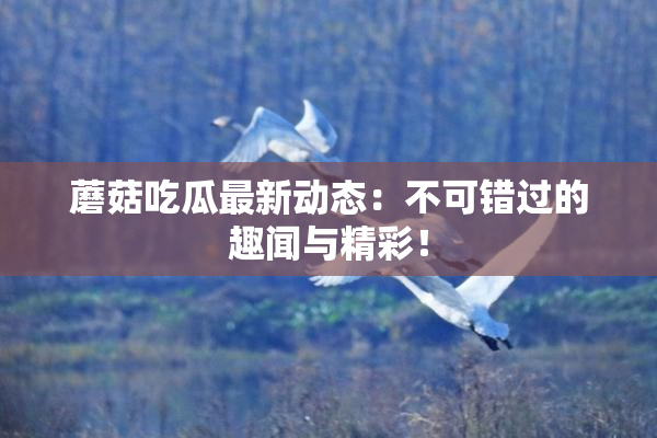 蘑菇吃瓜最新动态：不可错过的趣闻与精彩！