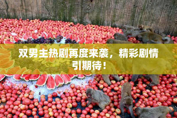双男主热剧再度来袭，精彩剧情引期待！