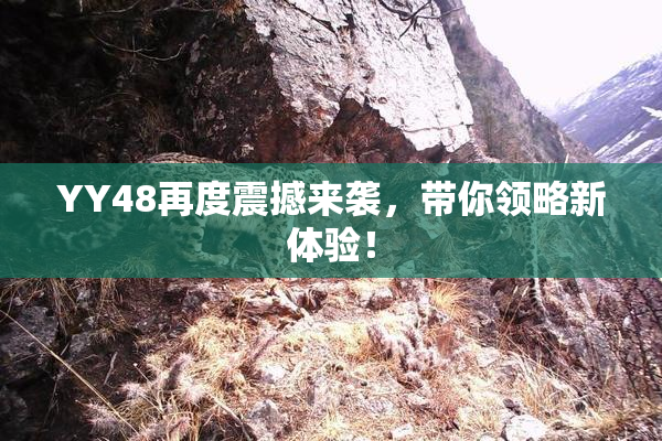 YY48再度震撼来袭，带你领略新体验！