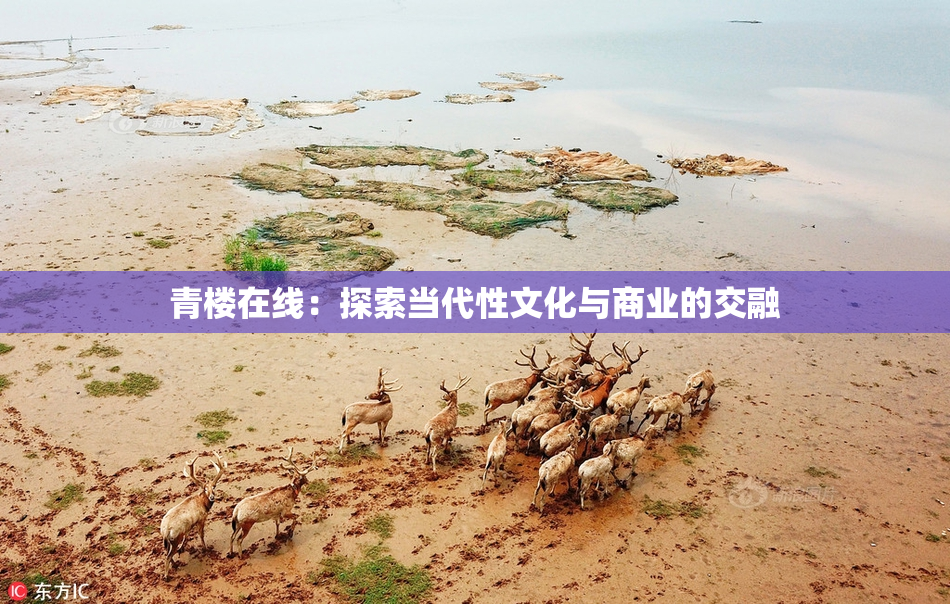 青楼在线：探索当代性文化与商业的交融