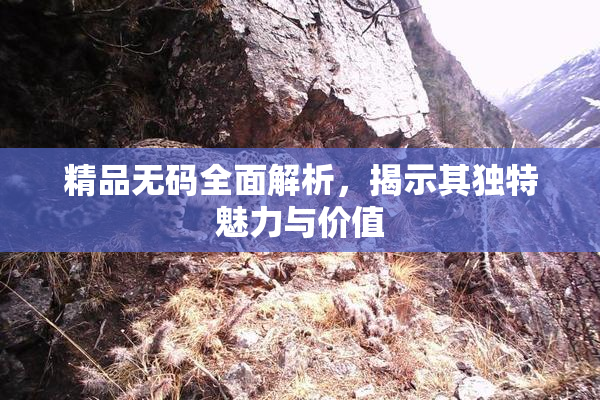 精品无码全面解析，揭示其独特魅力与价值