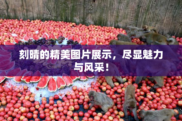 刻晴的精美图片展示，尽显魅力与风采！
