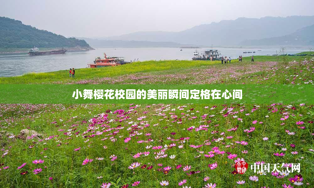 小舞樱花校园的美丽瞬间定格在心间