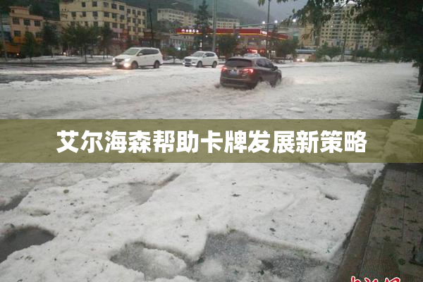 艾尔海森帮助卡牌发展新策略