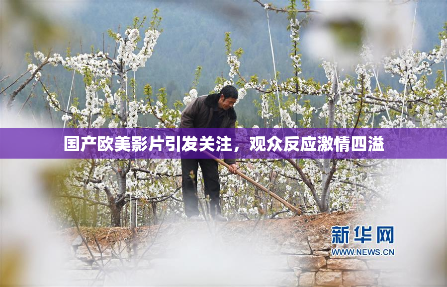 国产欧美影片引发关注，观众反应激情四溢