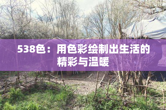 538色：用色彩绘制出生活的精彩与温暖