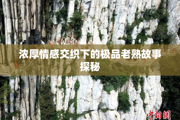 浓厚情感交织下的极品老熟故事探秘