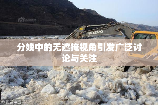 分娩中的无遮掩视角引发广泛讨论与关注