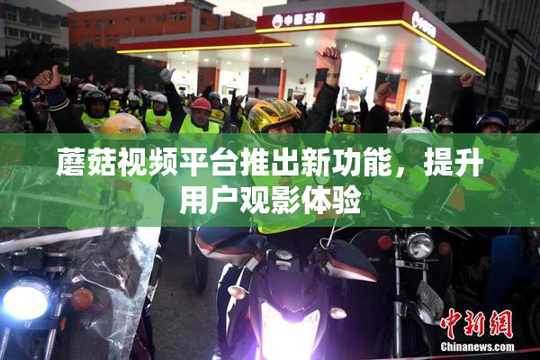 蘑菇视频平台推出新功能，提升用户观影体验
