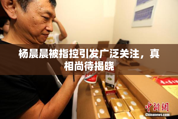 杨晨晨被指控引发广泛关注，真相尚待揭晓