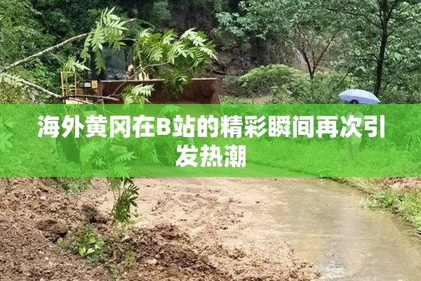 海外黄冈在B站的精彩瞬间再次引发热潮