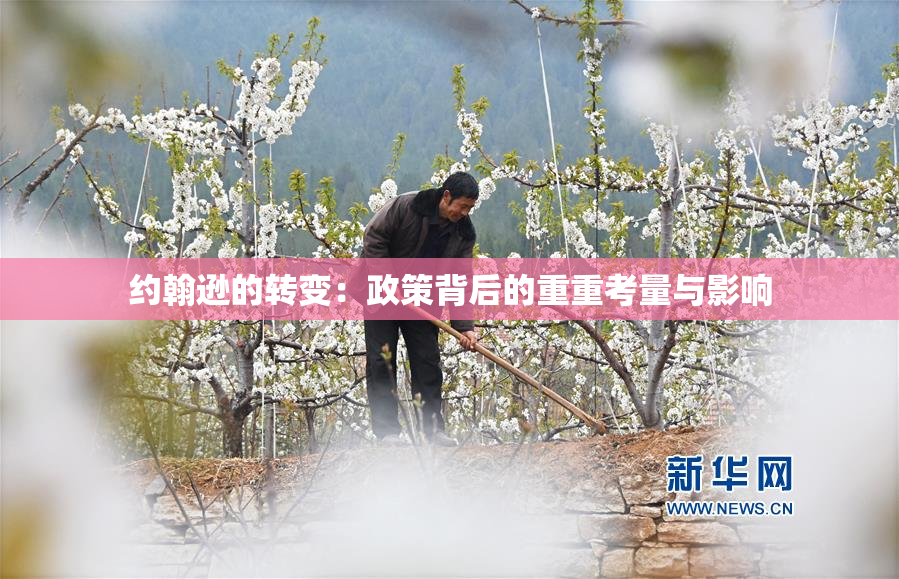 约翰逊的转变：政策背后的重重考量与影响