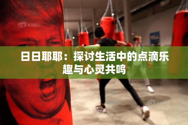日日耶耶：探讨生活中的点滴乐趣与心灵共鸣