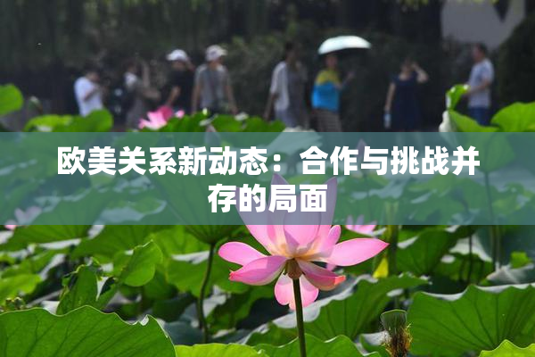 欧美关系新动态：合作与挑战并存的局面