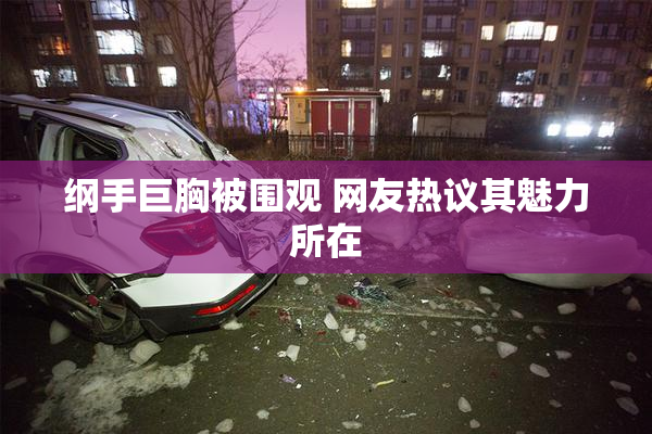纲手巨胸被围观 网友热议其魅力所在