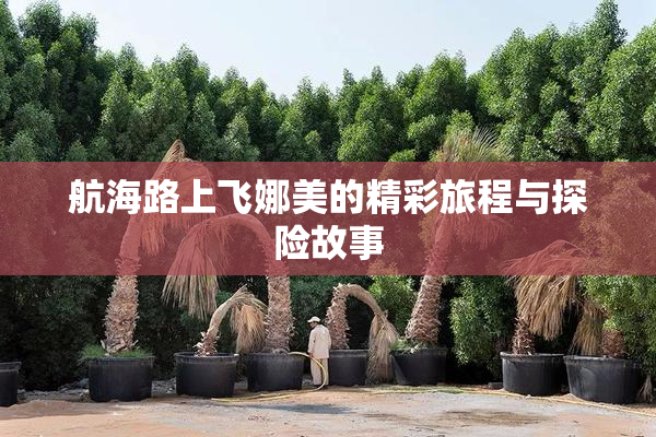 航海路上飞娜美的精彩旅程与探险故事